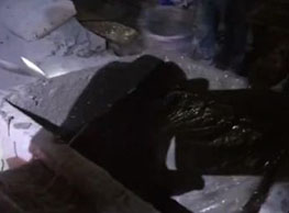 水泥濃漿（水灰比1：3）